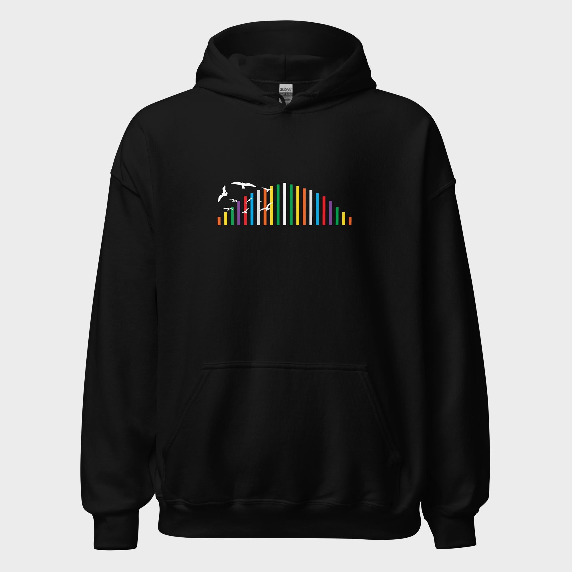 Rainbow Soundbar - Hoodie