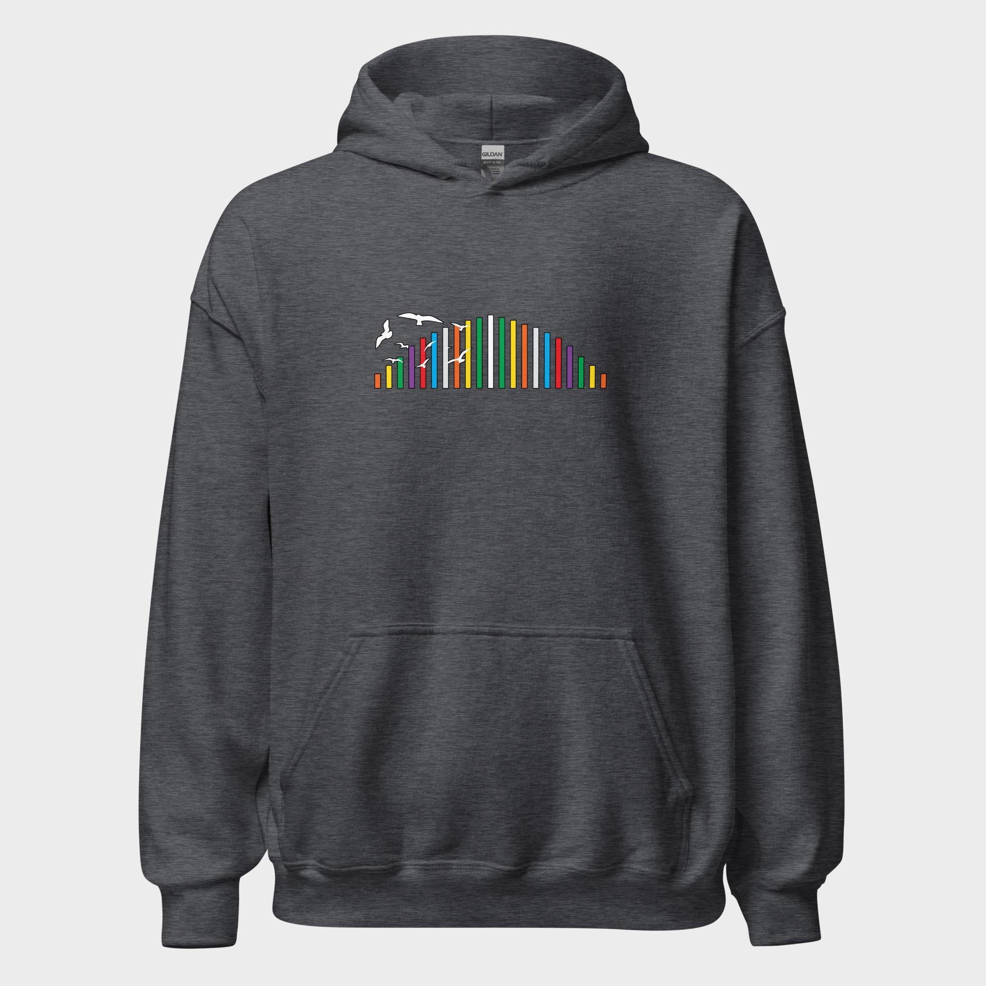 Rainbow Soundbar - Hoodie