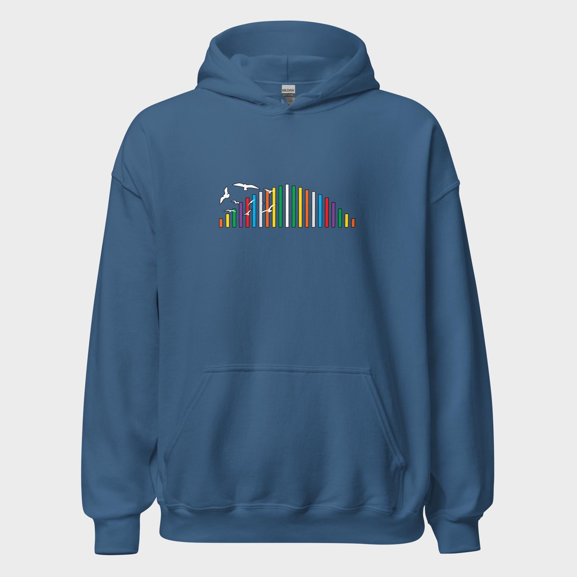 Rainbow Soundbar - Hoodie