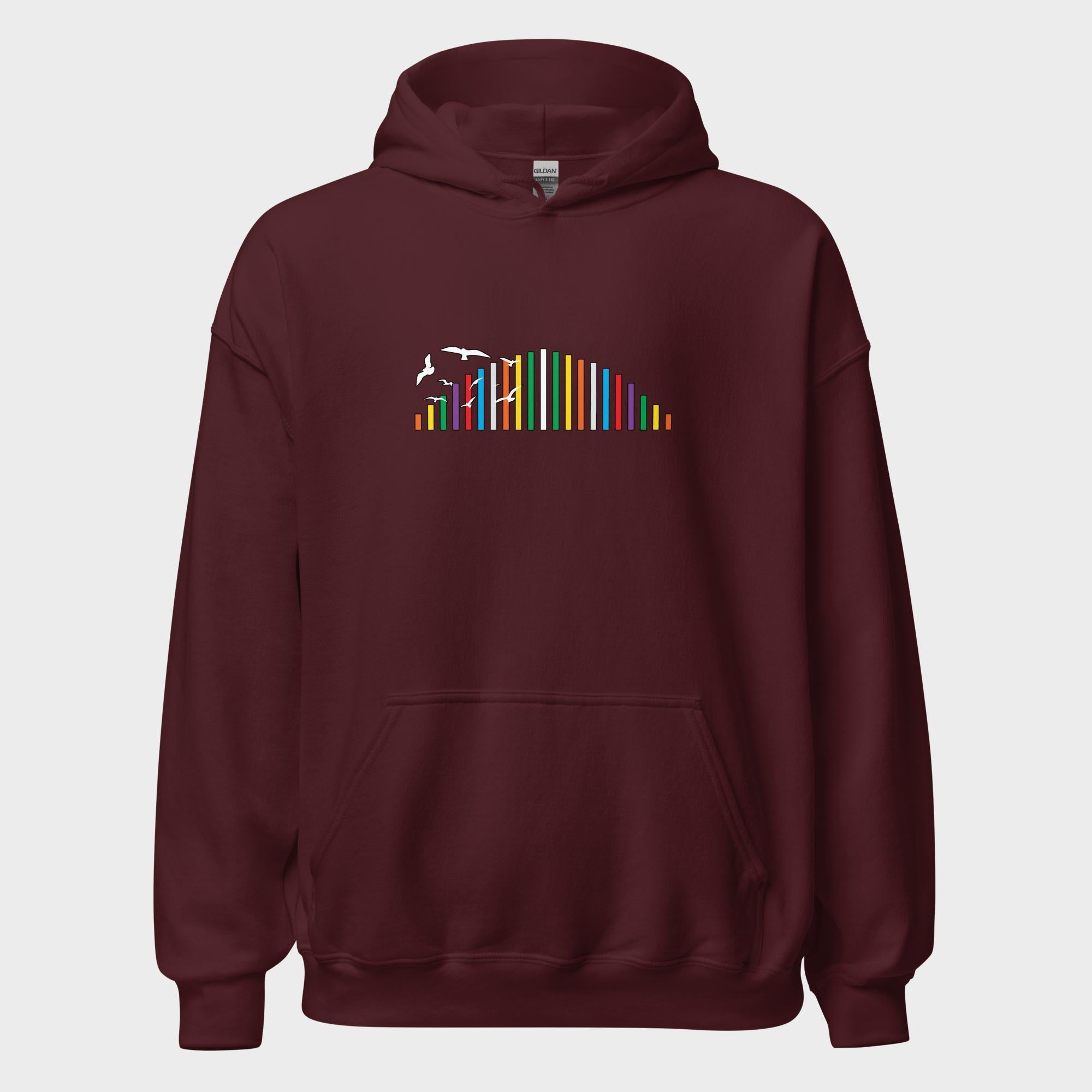 Rainbow Soundbar - Hoodie