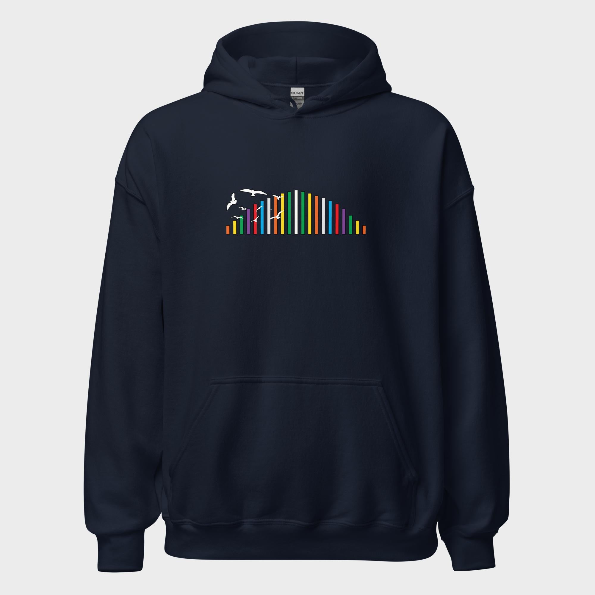 Rainbow Soundbar - Hoodie
