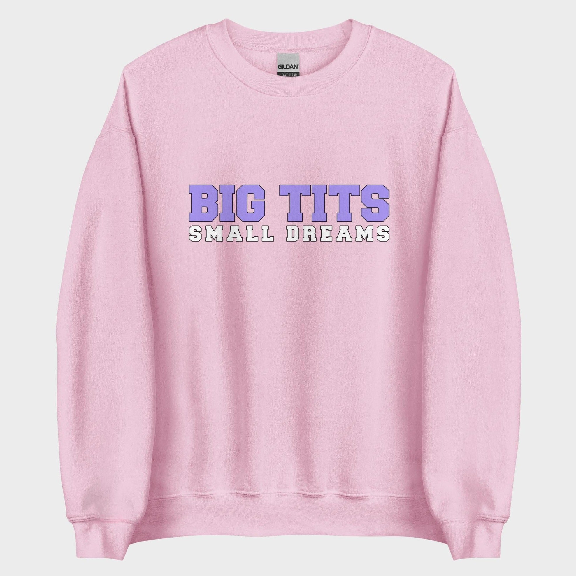 Big Tits. Small Dreams. - Sweatshirt